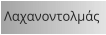 Λαχανοντολμάς