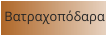 Βατραχοπόδαρα