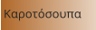 Καροτόσουπα
